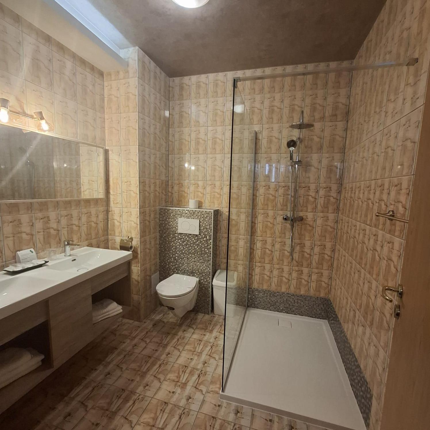 Guest house Pensiunea Warthe 3*