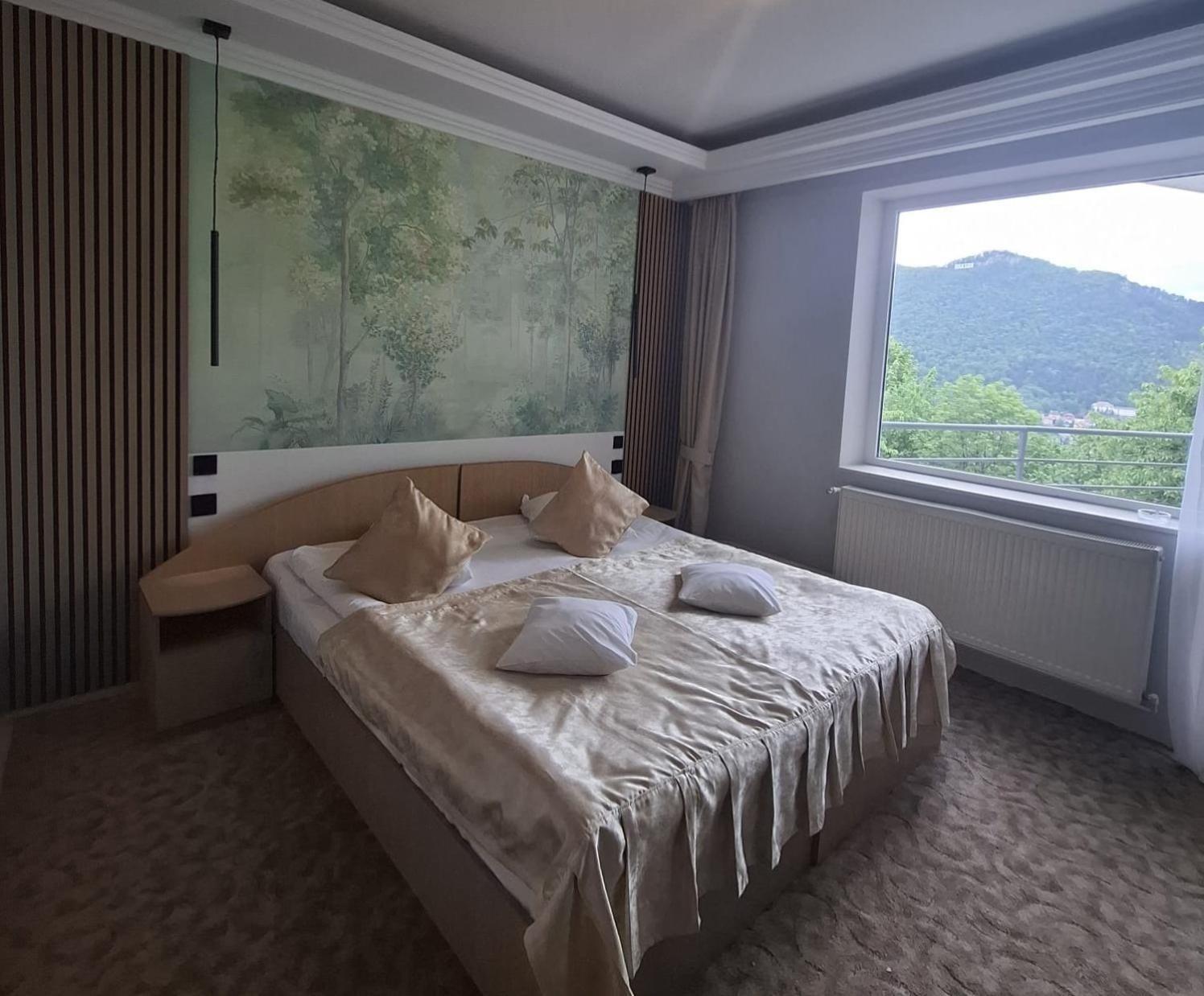 Pensión Pensiunea Warthe 3*