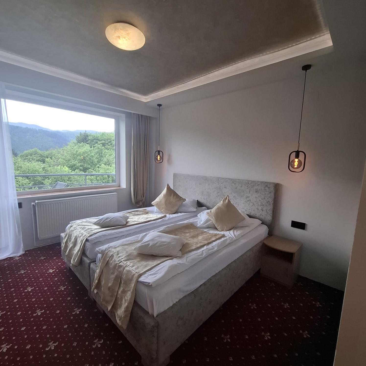 Pensiunea Warthe Guest house Brasov