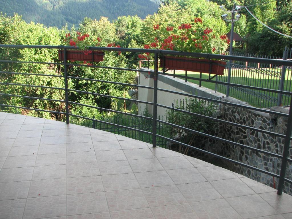 Pensiunea Warthe 3* Braşov