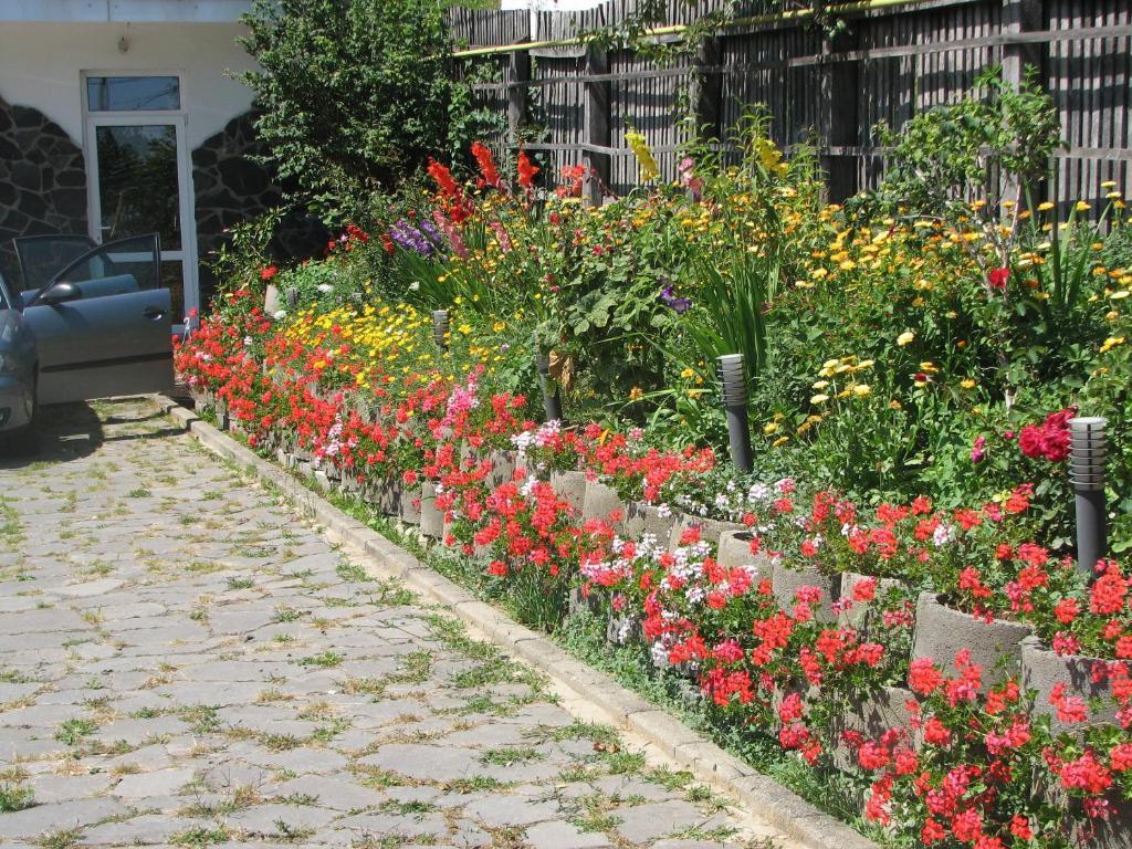 Pensiunea Warthe Pensión Braşov