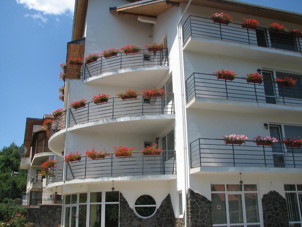 Guest house Pensiunea Warthe Brasov