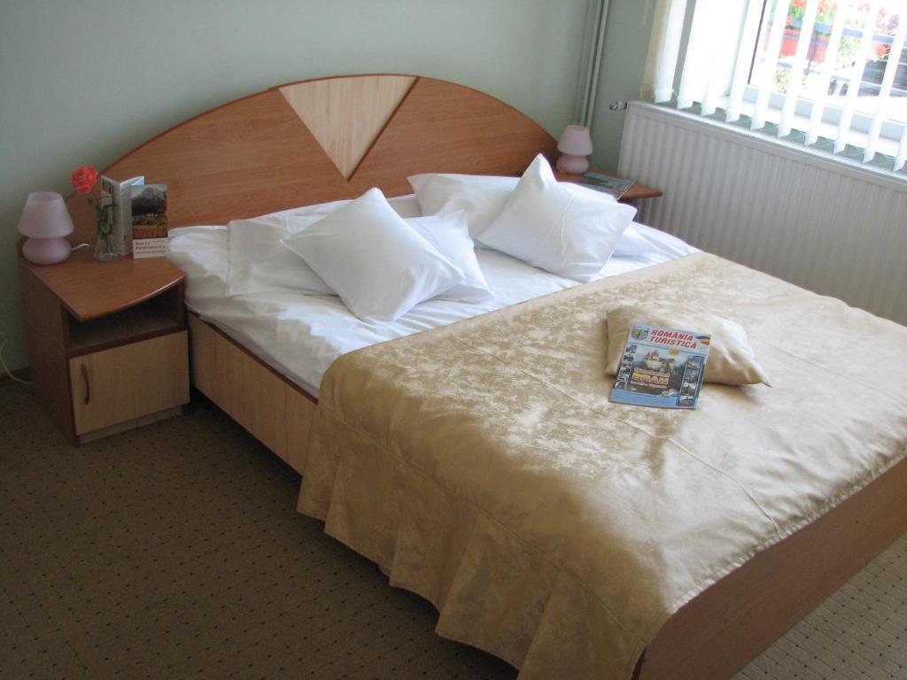 Guest house Pensiunea Warthe Brasov